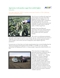 Agronomy work pushes sugar beet yields higher