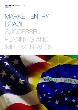 market entry brazil successful planning and implementation