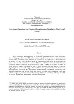 Investment Equations and Financial Restrictions at Firm Level: The