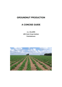 GROUNDNUT PRODUCTION A CONCISE GUIDE