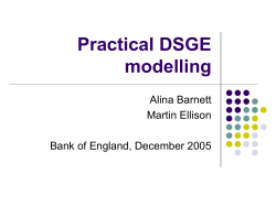 Practical DSGE modelling - FSE