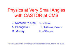 Physics at Very Small Angles with CASTOR
