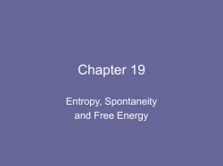 Chapter 19