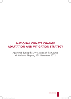 national climate change adaptation and mitigation strategy