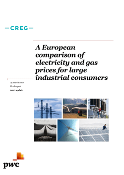 A European comparison of electricity and gas prices for