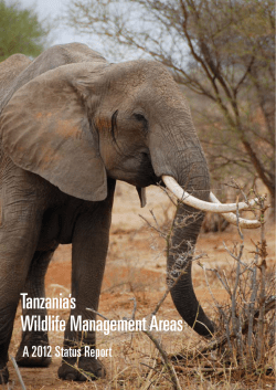 Tanzania`s Wildlife Management Areas