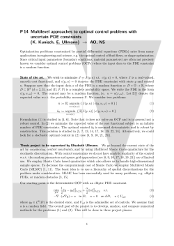 P14 Multilevel approaches to optimal control problems with