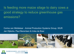 Is feeding more maize silage to dairy cows a good strategy to reduce