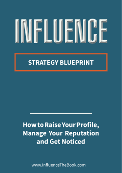 Influence Strategy Blueprint