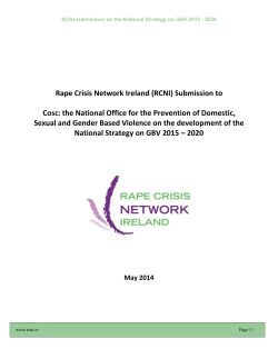 RCNI submission on new GBV national Strategy May 2014