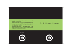 The Social Cost of Litigation