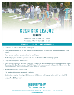 bean bag league bean bag league