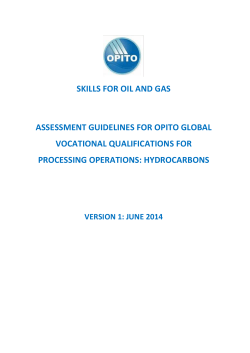 Assessment Guidelines for Processing Operations