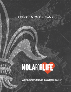 comprehensive murder reduction strategy