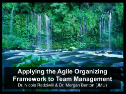 Applying the Agile Organizing Framework to Team