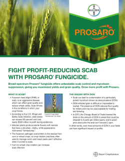 fight profit-reducing scab with prosaro&reg; fungicide.