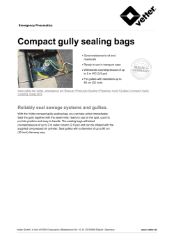Compact gully sealing bags