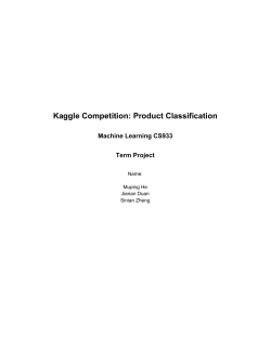 Kaggle Competition: Product Classification