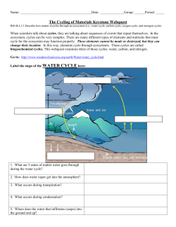nitrogen cycle