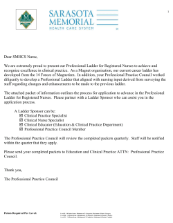 professional nursing ladder guidelines