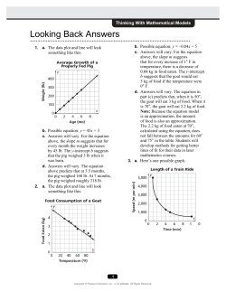 Looking Back Answers