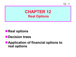 Options, PowerPoint Show