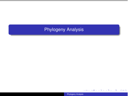 Phylogeny Analysis