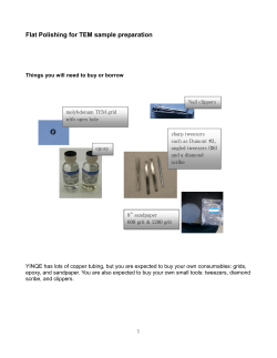 Flat Polishing for TEM sample preparation
