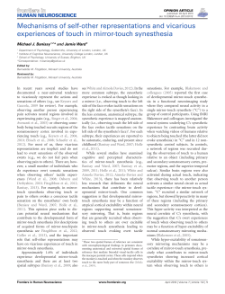 Mechanisms of self-other representations and