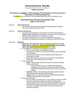 RSO Lead Team Constitution Example