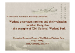 the example of Xixi National Wetland Park