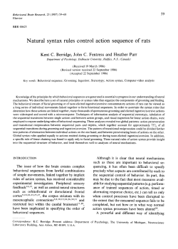Natural syntax rules control action sequence of rats