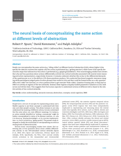 The neural basis of conceptualizing the same action at different