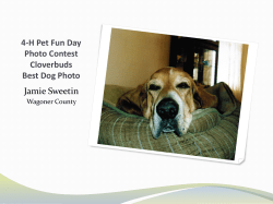 4-H Pet Fun Day Photo Contest Cloverbuds Best - Oklahoma 4-H