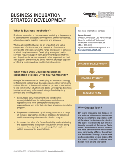 business incubation strategy development