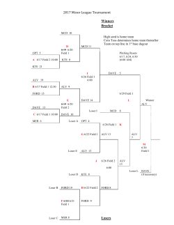 2013 Minor League Tournament