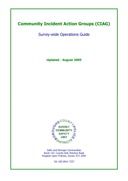 Joint Action Groups (JAG)