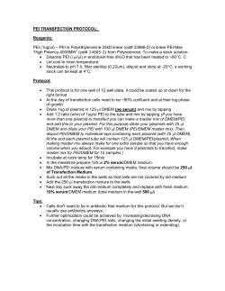 PEI TRANSFECTION PROTOCOL: Reagents: PEI (1ug/ul) &ndash; PEI is