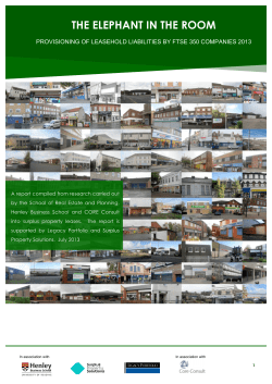 The Elephant In The Room - Research Report 31 July 2013