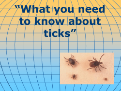 Molaei said. To survive, ticks must eat the blood of mammals, birds