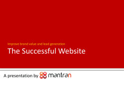 The Successful Website