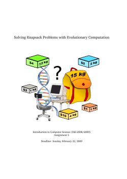Solving Knapsack Problems with Evolutionary Computation