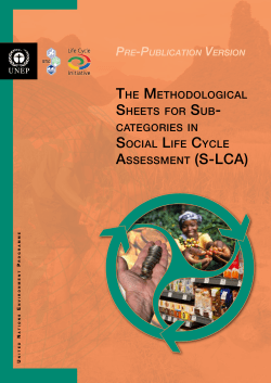 The Methodological Sheets for Sub-Categories in Social Life Cycle