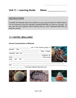 mollusks - BC Learning Network