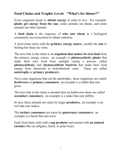 Food Chains and Webs - Year-10