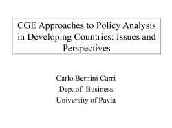 CGE Approaches to Policy Analysis in Developing Countries: Issues