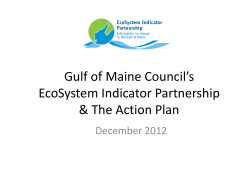 ESIP*s Slides for Council Slide Show