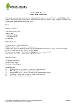 Sustainability Classroom Project Sheet: Theo`s
