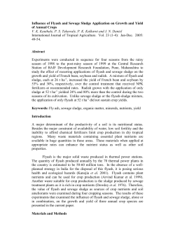 Influence Of Flyash And Sewage Sludge Application On Growth And