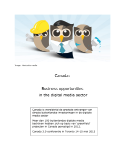 Business opportunities in the digital media sector